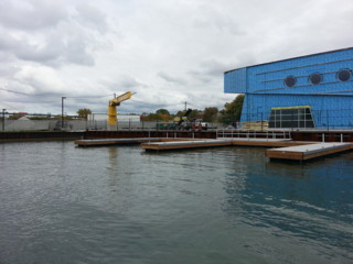 Winsdor Full VIew.jpg